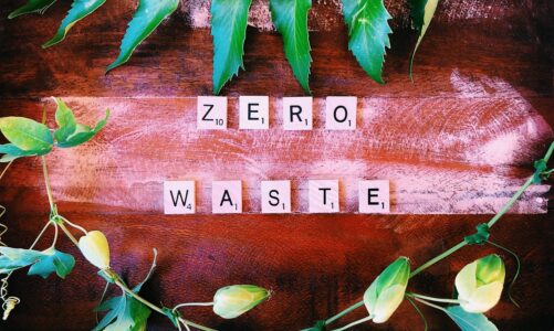 Jak zbudować dom z technologią zero waste